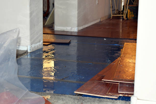 Professional Structural Drying technician working in Harsens Island, MI