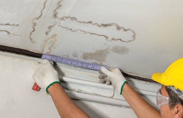 Reliable Structural Drying contractor in Harsens Island, MI by Water Damage Irwin